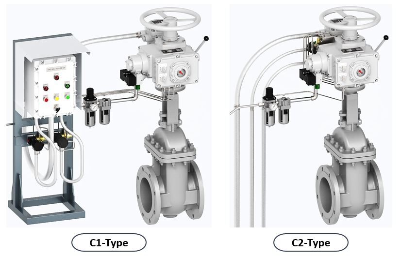 C1-C2.JPG
